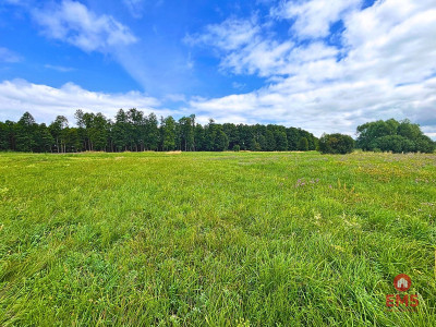 Działka budowlana na Szlaku WJM - jezioro Harsz - Harsz  -
Warmińsko-Mazurskie Zdjęcie nr 5