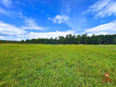 Pierwsza linia j Harsz - działka budowlana - Harsz  -
Warmińsko-Mazurskie Zdjęcie nr 2
