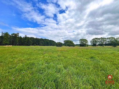 Pierwsza linia j Harsz - działka budowlana - Harsz  -
Warmińsko-Mazurskie Zdjęcie nr 3