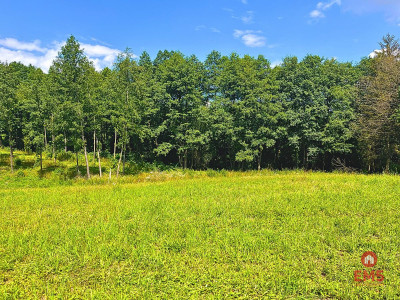 Działka budowlana z dostępem do jeziora - Dąbrówno  -
Warmińsko-Mazurskie Zdjęcie nr 4