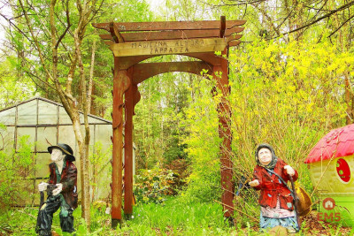 Działka rekreacyjno-budowlana 08 ha pod miastem - Rafałówka  -
Podlaskie Zdjęcie nr 12