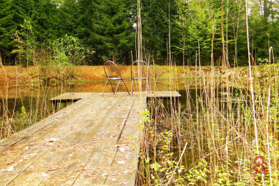 Działka rekreacyjno-budowlana 08 ha pod miastem - Rafałówka  - Podlaskie