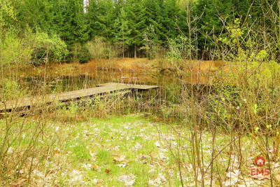 Działka rekreacyjno-budowlana 08 ha pod miastem - Rafałówka  -
Podlaskie Zdjęcie nr 2