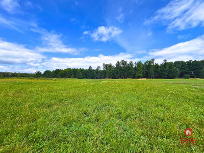 Działka budowlana - Szlak Wielkich Jezior - Węgorzewo  -
Warmińsko-Mazurskie Zdjęcie nr 4