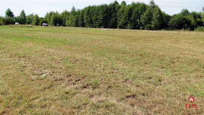 Działka budowlana 1500 m2 gm Juchnowiec - Hołówki Duże  -
Podlaskie Zdjęcie nr 5