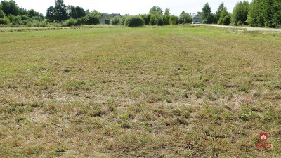 Działka budowlana 1500 m2 gm Juchnowiec - Hołówki Duże  -
Podlaskie Zdjęcie nr 7