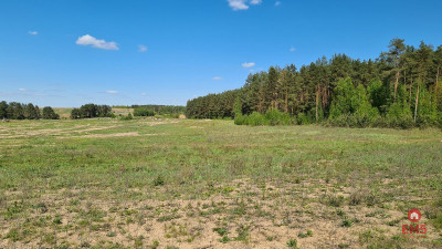 Działka przemysłowa 04 ha pod Wasilkowem - Wasilków  -
Podlaskie Zdjęcie nr 6