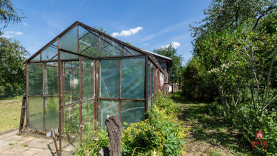 Ogródek działkowy Mickiewicza - Białystok  -
Podlaskie Zdjęcie nr 5