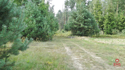 Budowlano - rolna 104 ha Pod miastem - Zalesiany  -
Podlaskie Zdjęcie nr 3