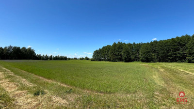 Działka rolno-budowlana 25 ha Nowosiółki - Nowosiółki  -
Podlaskie Zdjęcie nr 4
