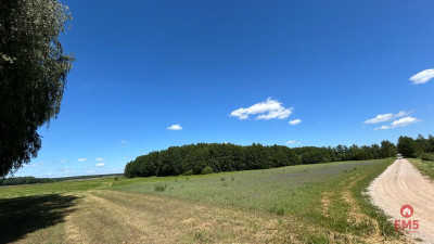 Działka rolno-budowlana 25 ha Nowosiółki - Nowosiółki  -
Podlaskie Zdjęcie nr 5