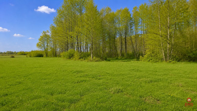 Działka rolno-budowlana 25 ha Nowosiółki - Nowosiółki  -
Podlaskie Zdjęcie nr 9