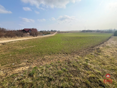 Tereny inwestycyjne w Nowym Aleksandrowie - Nowe Aleksandrowo  -
Podlaskie Zdjęcie nr 2