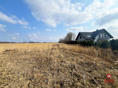 Tereny inwestycyjne w Nowym Aleksandrowie - Nowe Aleksandrowo  -
Podlaskie Zdjęcie nr 3