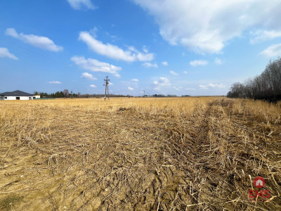 Tereny inwestycyjne w Nowym Aleksandrowie - Nowe Aleksandrowo  -
Podlaskie Zdjęcie nr 5