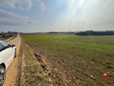 Tereny inwestycyjne w Nowym Aleksandrowie - Nowe Aleksandrowo  -
Podlaskie Zdjęcie nr 6