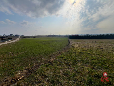 Tereny inwestycyjne w Nowym Aleksandrowie - Nowe Aleksandrowo  -
Podlaskie Zdjęcie nr 7