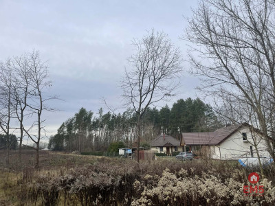 Działka pod lasem blisko Białegostoku - Skrybicze  -
Podlaskie Zdjęcie nr 3