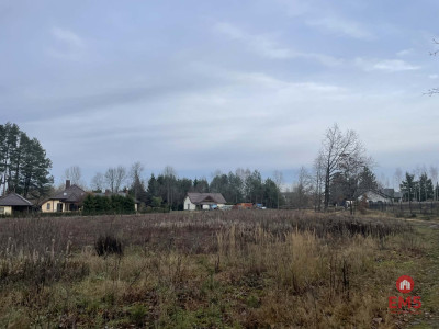 Działka pod lasem blisko Białegostoku - Skrybicze  -
Podlaskie Zdjęcie nr 5