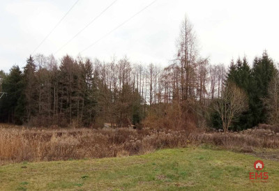 działka pod lasem blisko Białegostoku ze stawem - Ogrodniczki  -
Podlaskie Zdjęcie nr 2