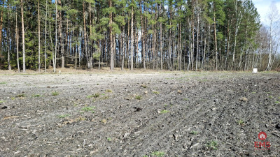 Działka budowlana 1183 m2 Solniczki - Solniczki  -
Podlaskie Zdjęcie nr 3