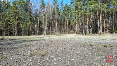 Działka blisko lasu w Solniczkach 1109 m2 - Solniczki  -
Podlaskie Zdjęcie nr 4