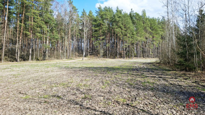 Działka blisko lasu w Solniczkach 1109 m2 - Solniczki  -
Podlaskie Zdjęcie nr 8