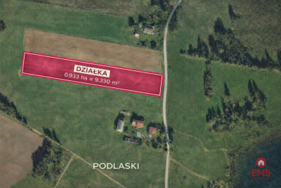 Działka rolno-budowlana Podlaski Gmina Sejny - Podlaski  - Podlaskie