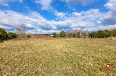 Oaza spokoju w Sowlanach - Sowlany  -
Podlaskie Zdjęcie nr 2