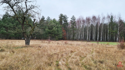Działka 1900 m2 Pieńki - Pieńki  -
Podlaskie Zdjęcie nr 4
