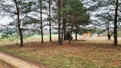 Działka 1900 m2 Pieńki - Pieńki  -
Podlaskie Zdjęcie nr 7