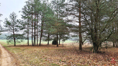 Działka 1743 m2 Pieńki - Pieńki  -
Podlaskie Zdjęcie nr 11