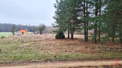 Działka 1743 m2 Pieńki - Pieńki  -
Podlaskie Zdjęcie nr 13