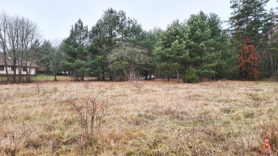 Działka 1743 m2 Pieńki - Pieńki  -
Podlaskie Zdjęcie nr 7