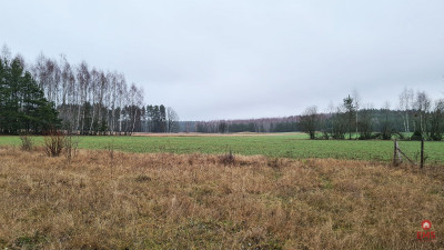 Działka 1743 m2 Pieńki - Pieńki  -
Podlaskie Zdjęcie nr 9