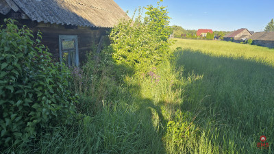 Działka w pięknej Siemianówce - Siemianówka  -
Podlaskie Zdjęcie nr 4