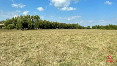 Działka budowlana 1425 m2 Rafałówka - Rafałówka  -
Podlaskie Zdjęcie nr 4