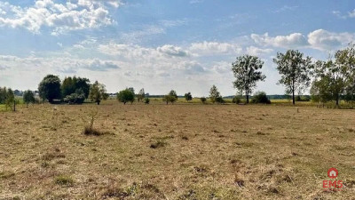 Działka budowlana 1425 m2 Rafałówka - Rafałówka  -
Podlaskie Zdjęcie nr 6