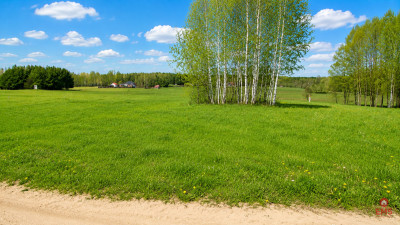 Działka budowlana 1000 m2 Tołcze - Tołcze  -
Podlaskie Zdjęcie nr 4