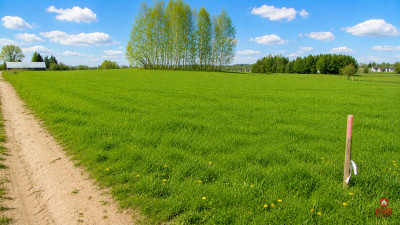 Działka budowlana 1000 m2 Tołcze - Tołcze  -
Podlaskie Zdjęcie nr 5