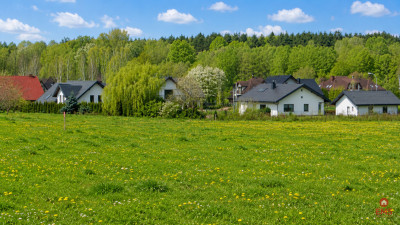 Działka budowlana 1000 m2 Tołcze - Tołcze  -
Podlaskie Zdjęcie nr 6