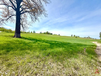 Działka Inwestycyjna Bród Nowy - Bród Nowy  - Podlaskie