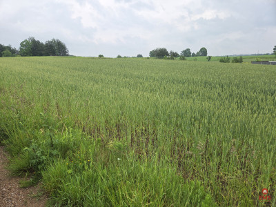 Idealne miejsce na Twój dom - Okuniowiec  -
Podlaskie Zdjęcie nr 4