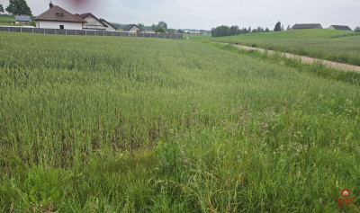 Idealne miejsce na Twój dom - Okuniowiec  -
Podlaskie Zdjęcie nr 7