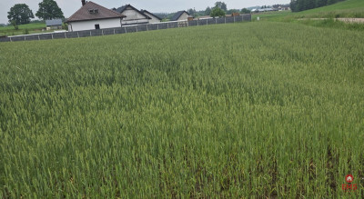Idealne miejsce na Twój dom - Okuniowiec  -
Podlaskie Zdjęcie nr 2