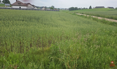 Idealne miejsce na Twój dom - Okuniowiec  -
Podlaskie Zdjęcie nr 7