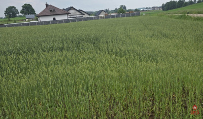 Idealne miejsce na Twój dom - Okuniowiec  -
Podlaskie Zdjęcie nr 2