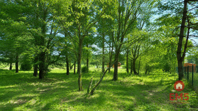 Działka 1792 m2 Pieńki - Pieńki  -
Podlaskie Zdjęcie nr 3