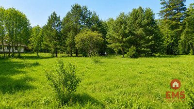 Działka 1792 m2 Pieńki - Pieńki  -
Podlaskie Zdjęcie nr 4