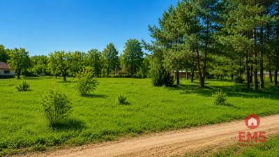Działka 1792 m2 Pieńki - Pieńki  -
Podlaskie Zdjęcie nr 5